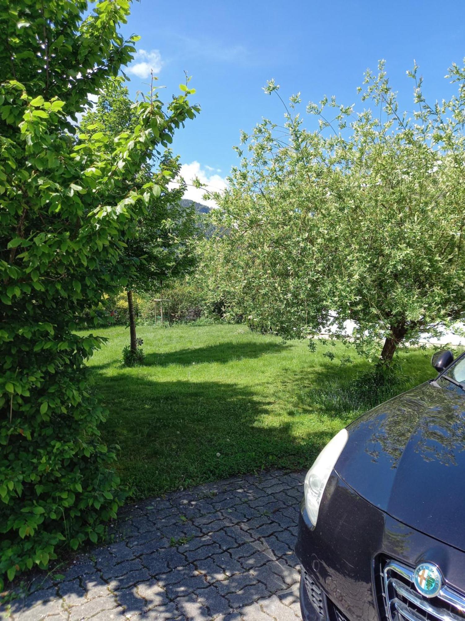 Flores, Ferienhaus Oder Doppelzimmer, Im Gruenen, 5 Gehminuten Ins Zentrum, Parkplatz, Zero Emissions Bad Ischl Ngoại thất bức ảnh