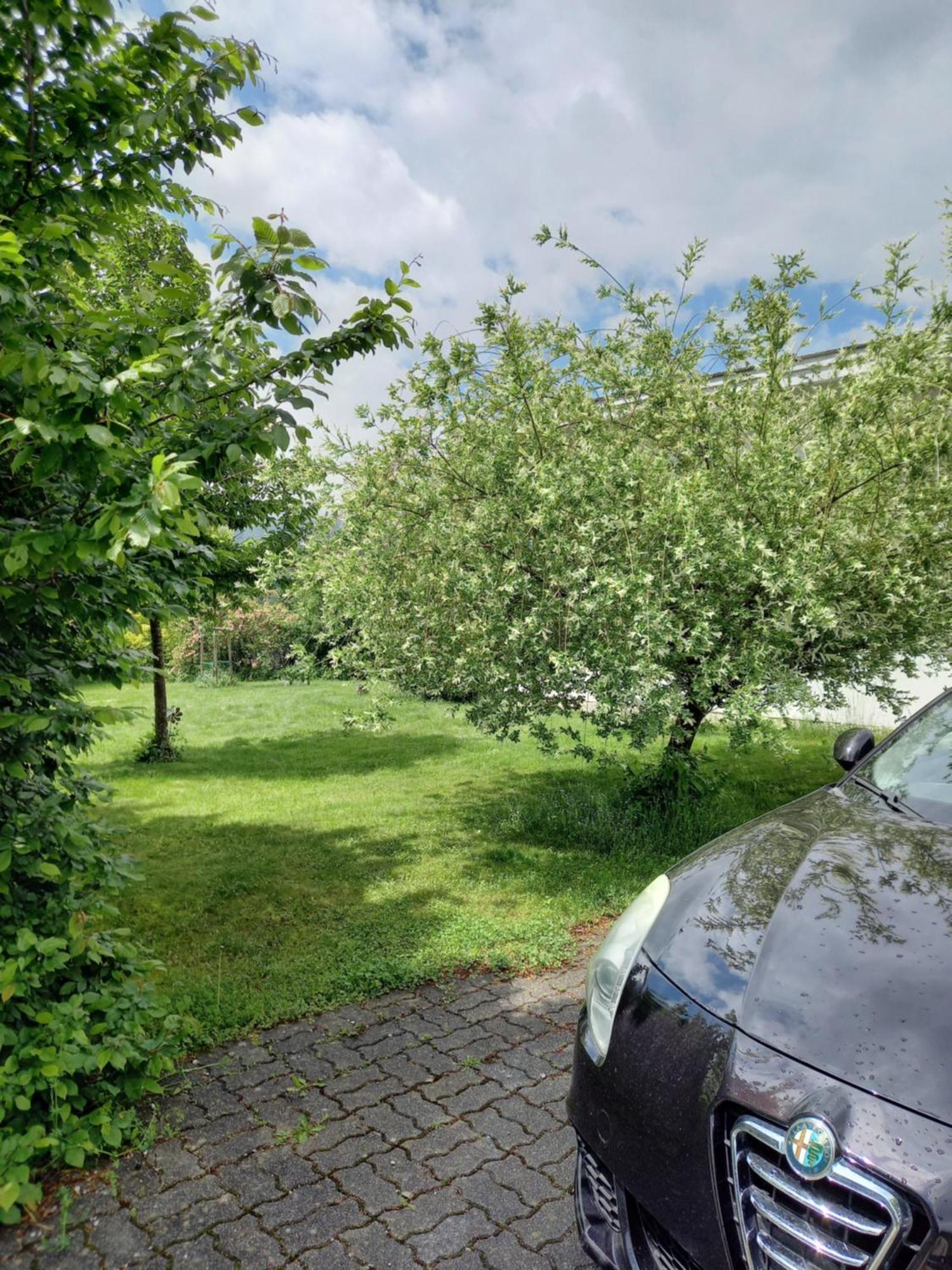 Flores, Ferienhaus Oder Doppelzimmer, Im Gruenen, 5 Gehminuten Ins Zentrum, Parkplatz, Zero Emissions Bad Ischl Ngoại thất bức ảnh