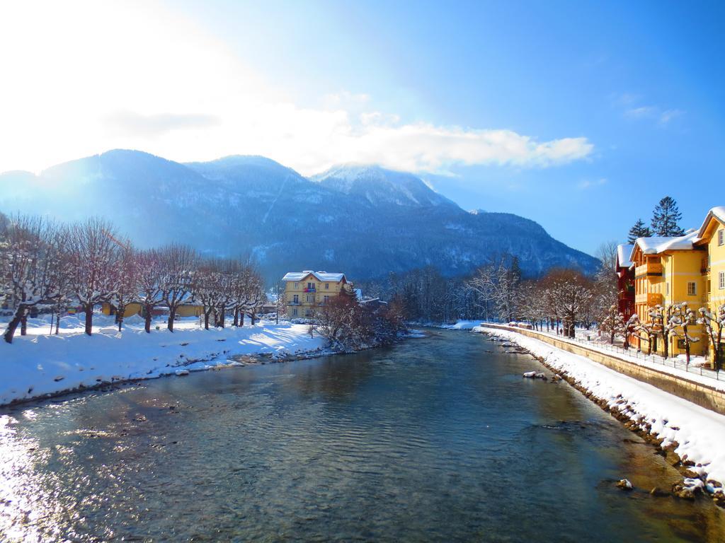 Flores, Ferienhaus Oder Doppelzimmer, Im Gruenen, 5 Gehminuten Ins Zentrum, Parkplatz, Zero Emissions Bad Ischl Ngoại thất bức ảnh